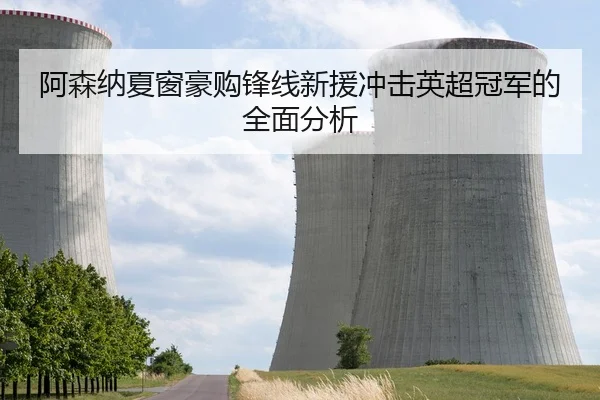 阿森纳夏窗豪购锋线新援冲击英超冠军的全面分析